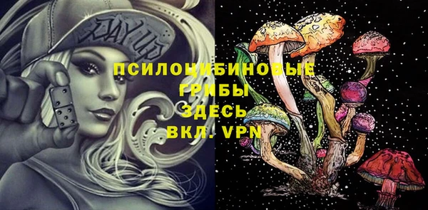гидра Михайловск