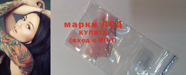 гидра Михайловск