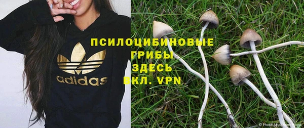 прущие крисы Надым