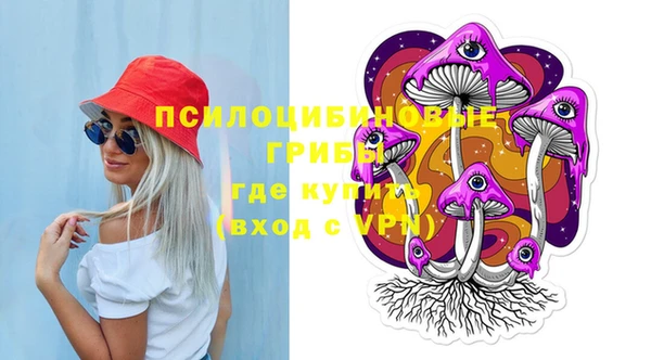 сатива Михайлов