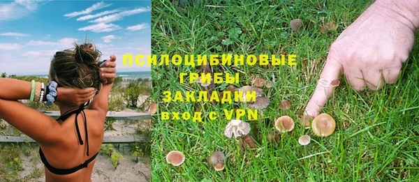 гидра Михайловск