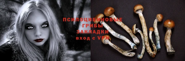 сатива Михайлов