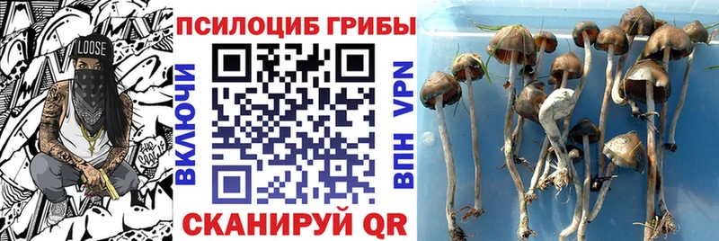 MEGA зеркало  Невьянск  Псилоцибиновые грибы Psilocybe  хочу  
